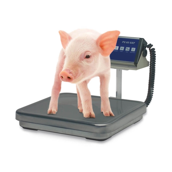 Mobile piglet scales PS SST 60 kg
